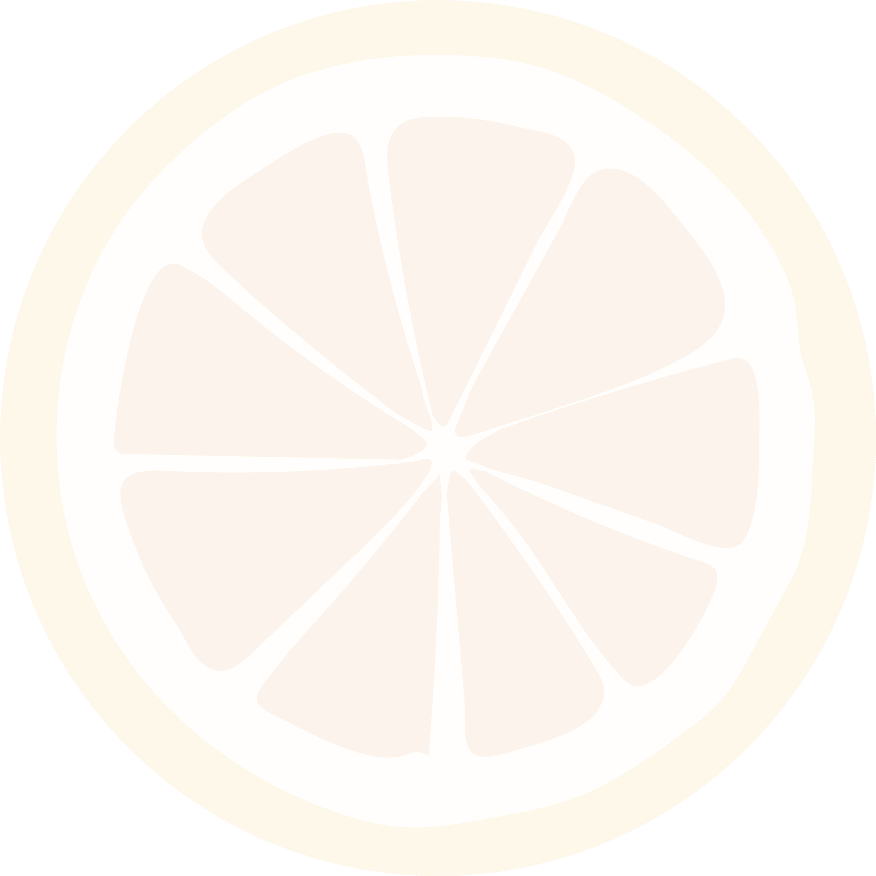 slice lemon icon isolated design