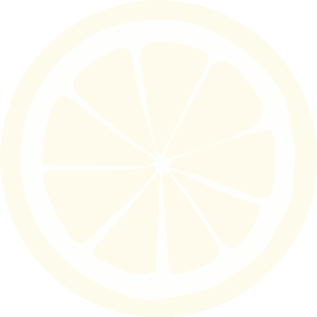 slice lemon icon isolated design