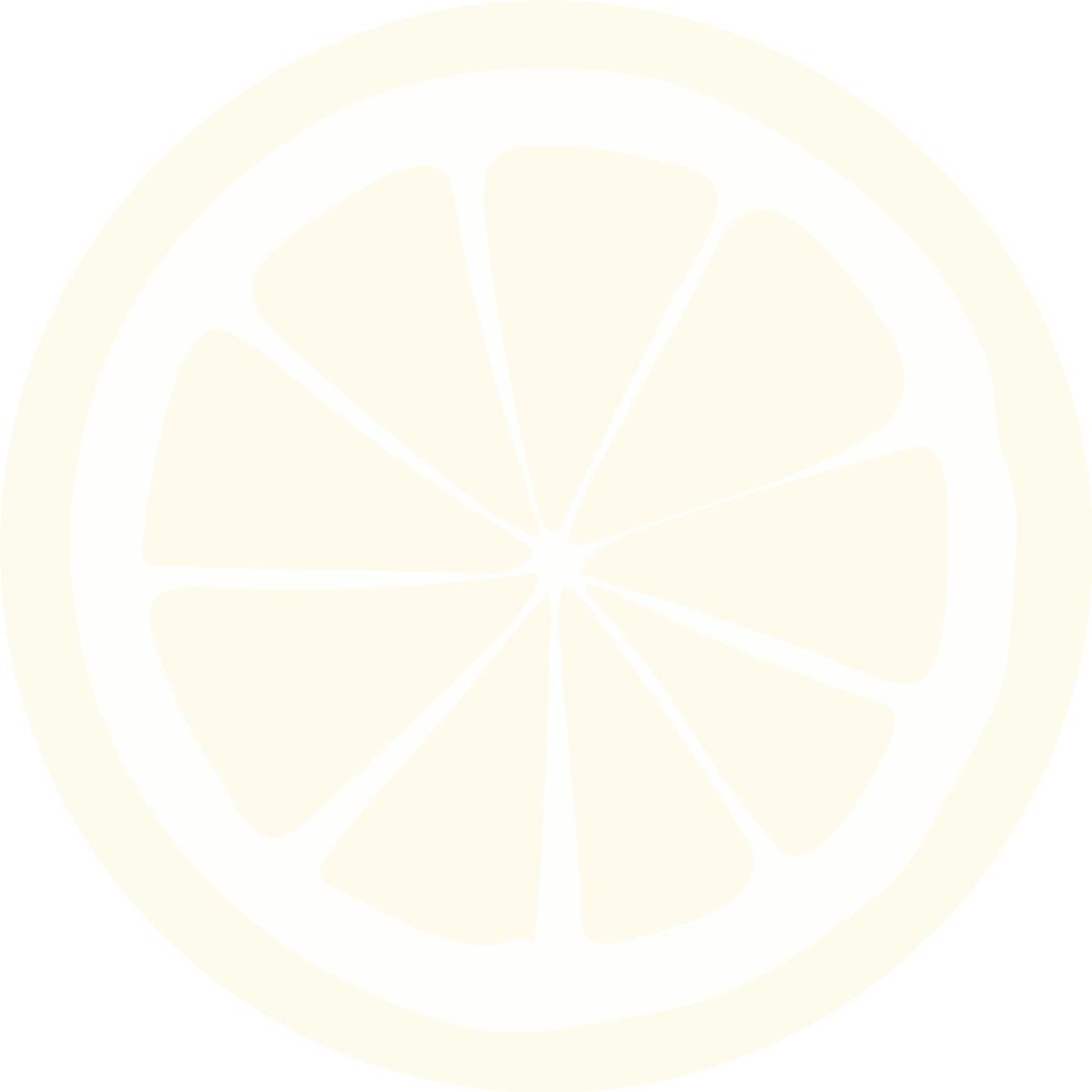 slice lemon icon isolated design