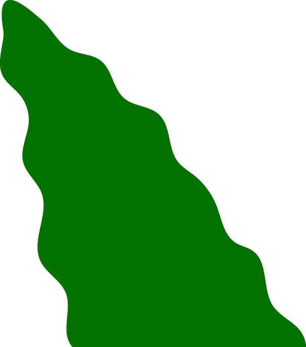 Polygon